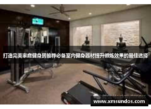 打造完美家庭健身房推荐必备室内健身器材提升锻炼效果的最佳选择