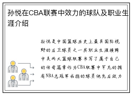 孙悦在CBA联赛中效力的球队及职业生涯介绍