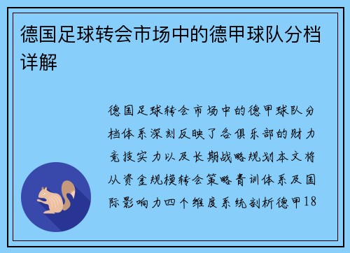 德国足球转会市场中的德甲球队分档详解