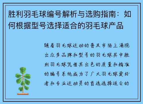 胜利羽毛球编号解析与选购指南：如何根据型号选择适合的羽毛球产品